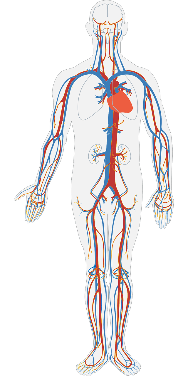 IV VITAMIN C AND AORTIC STENOSIS CONT