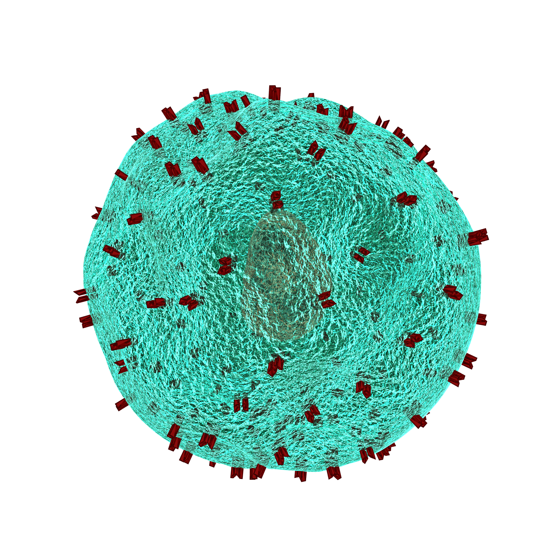 IMMUNE DEFICIENCY WORK UP AND TREATMENT CONT