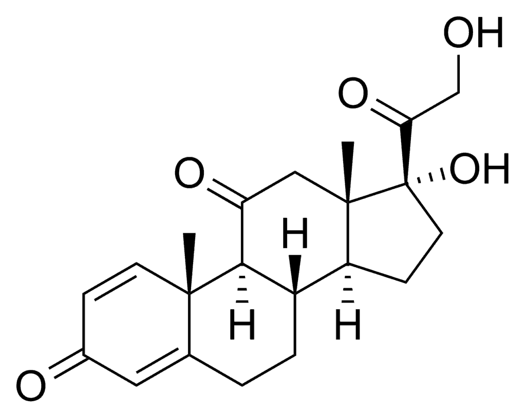 Chemical structure of prednisone